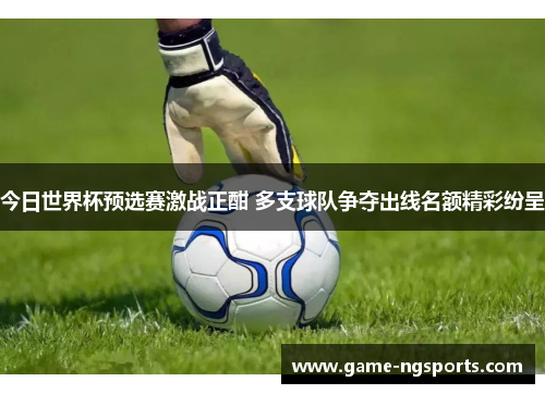 今日世界杯预选赛激战正酣 多支球队争夺出线名额精彩纷呈