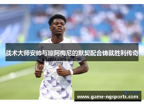 战术大师安帅与琼阿梅尼的默契配合铸就胜利传奇